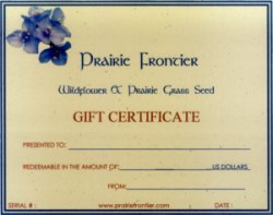 Gift Certificate